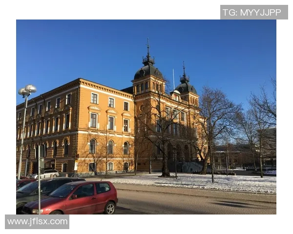 奥卢与科高拉的精彩对决揭示芬兰足球的魅力与竞争力